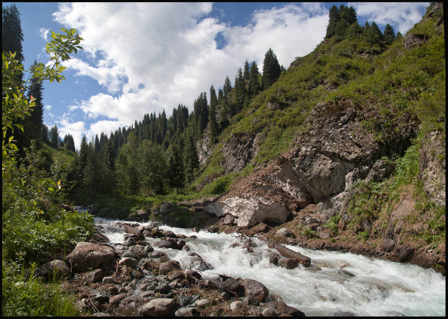 ���������