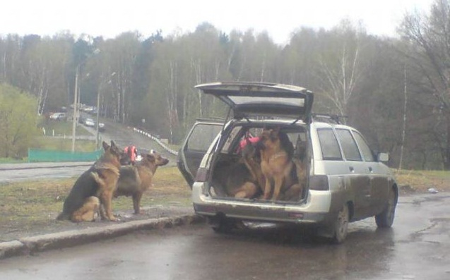 ���������