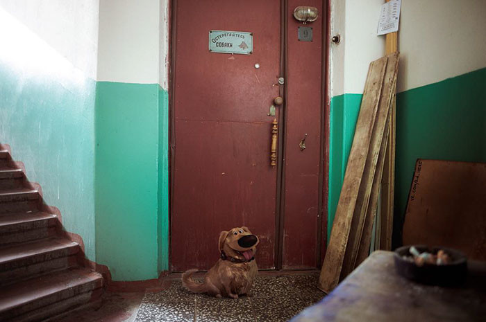 ���������