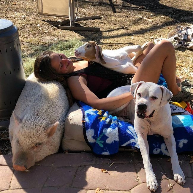 ���������