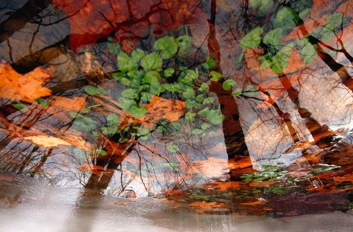 ���������