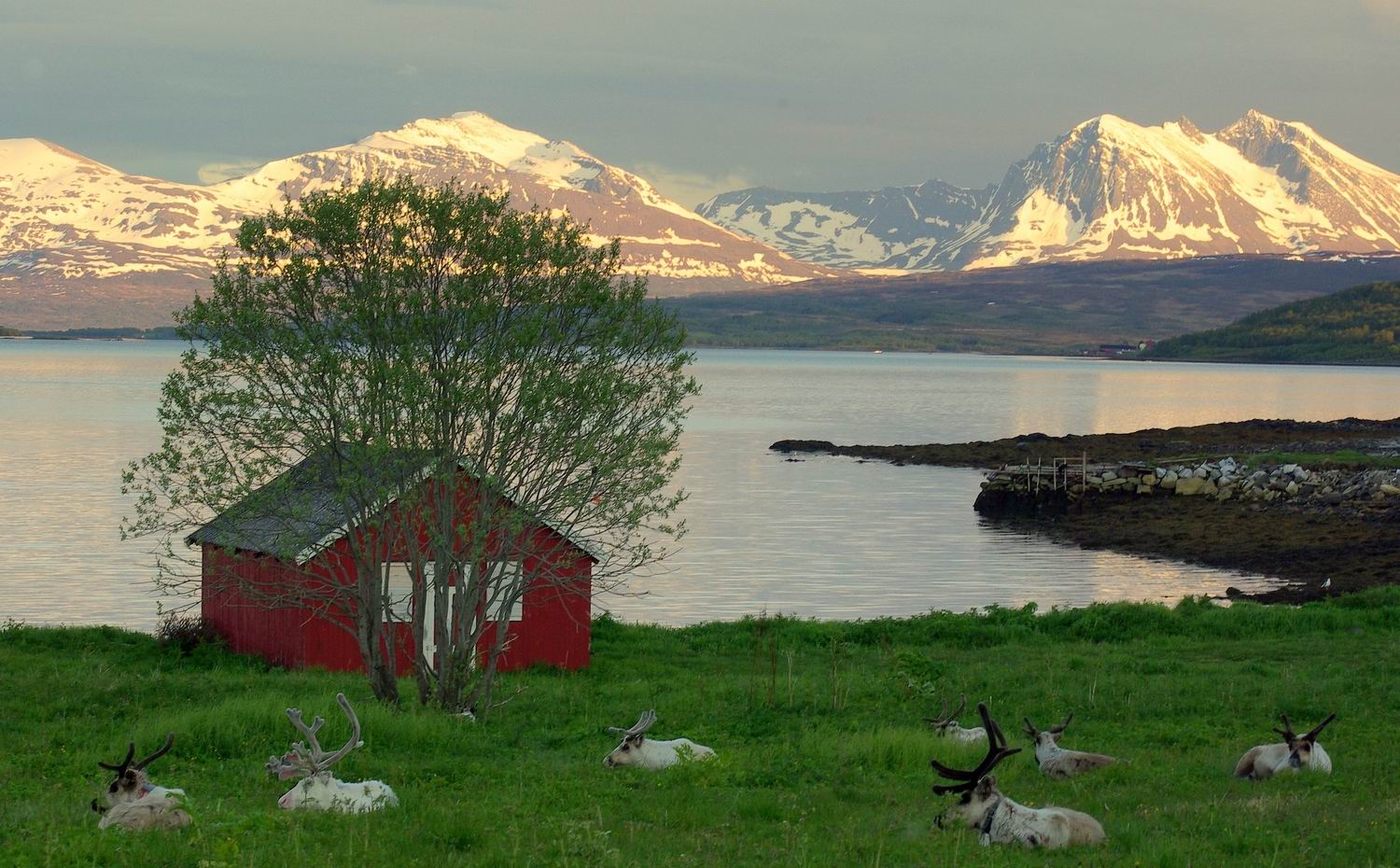 ���������