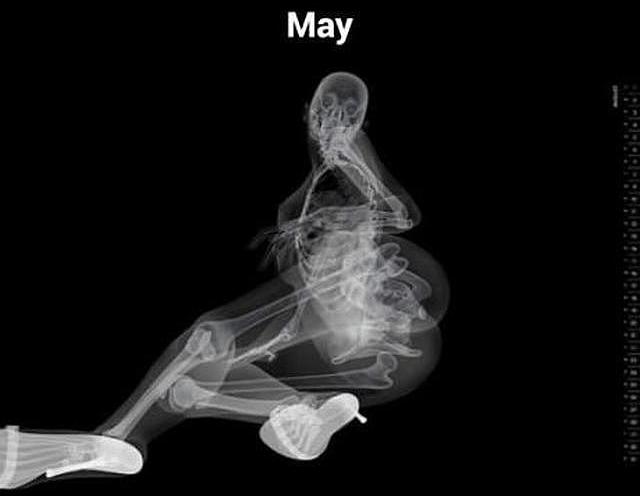 ���������