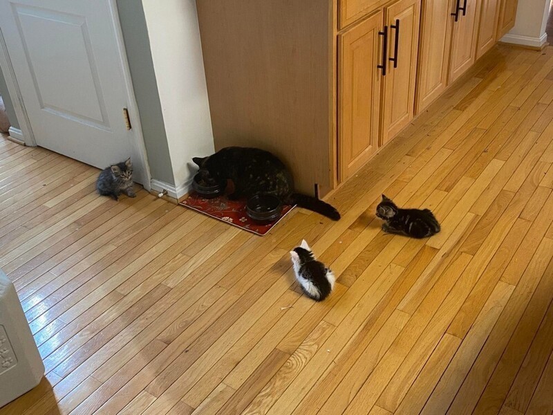 ���������