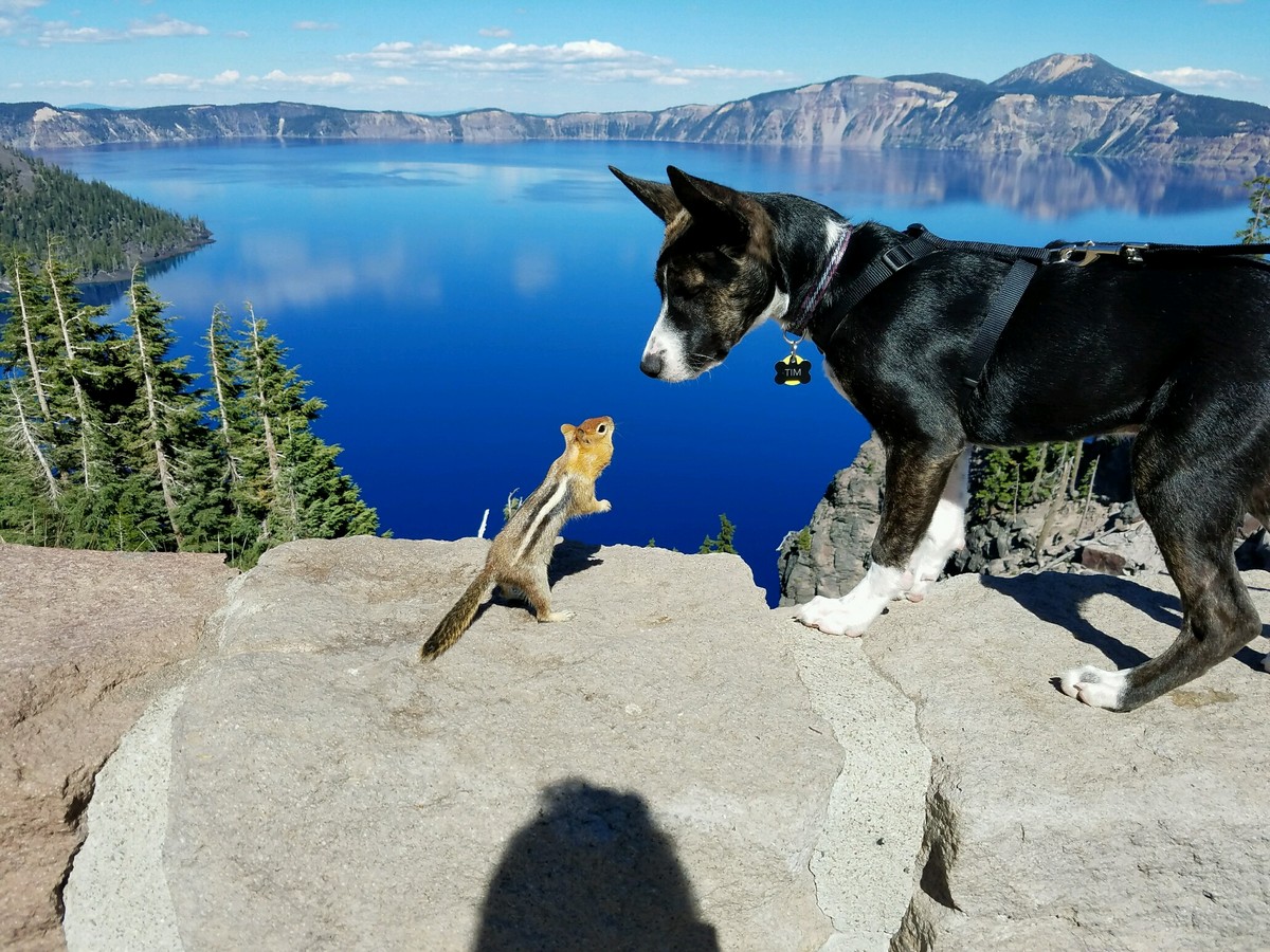 ���������