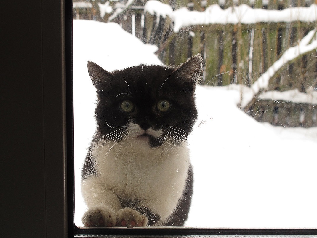 ���������