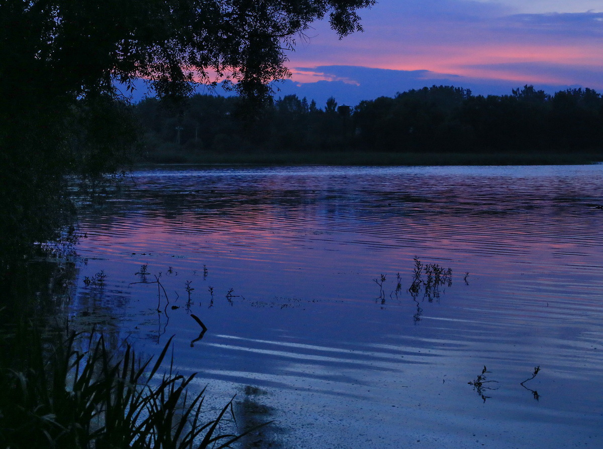 Увеличить Увеличить