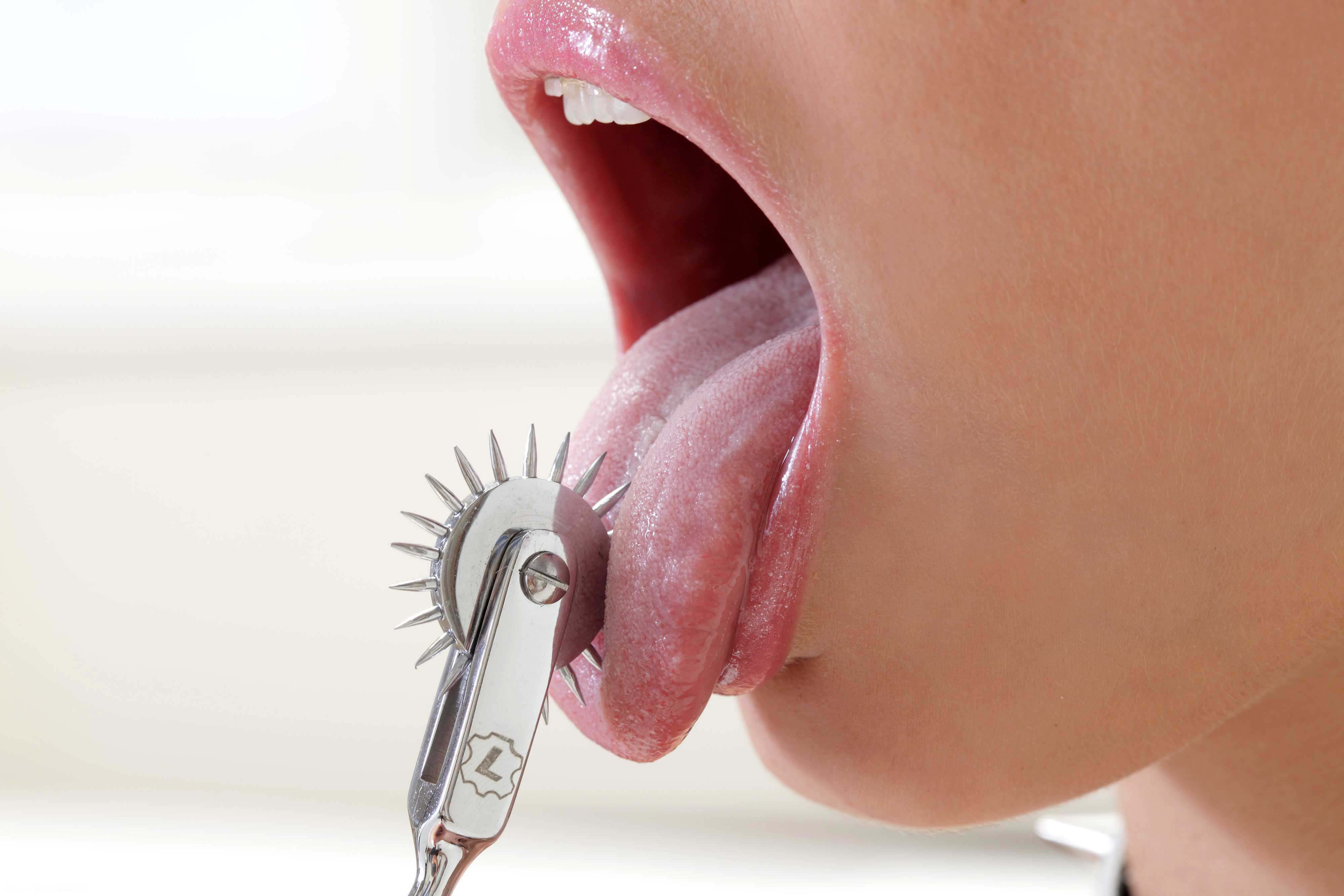 ���������