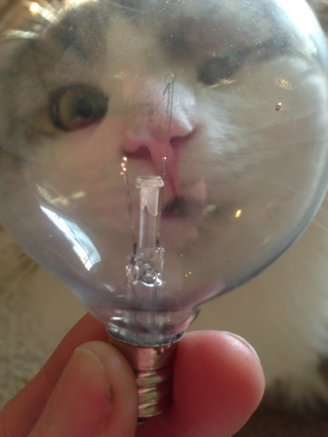 ���������