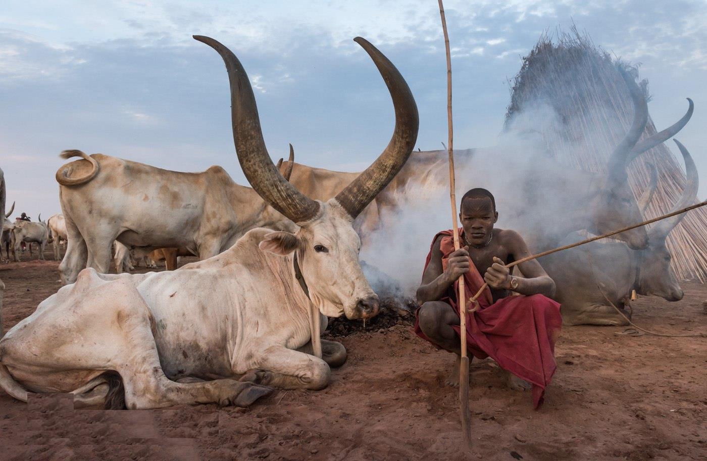 ���������