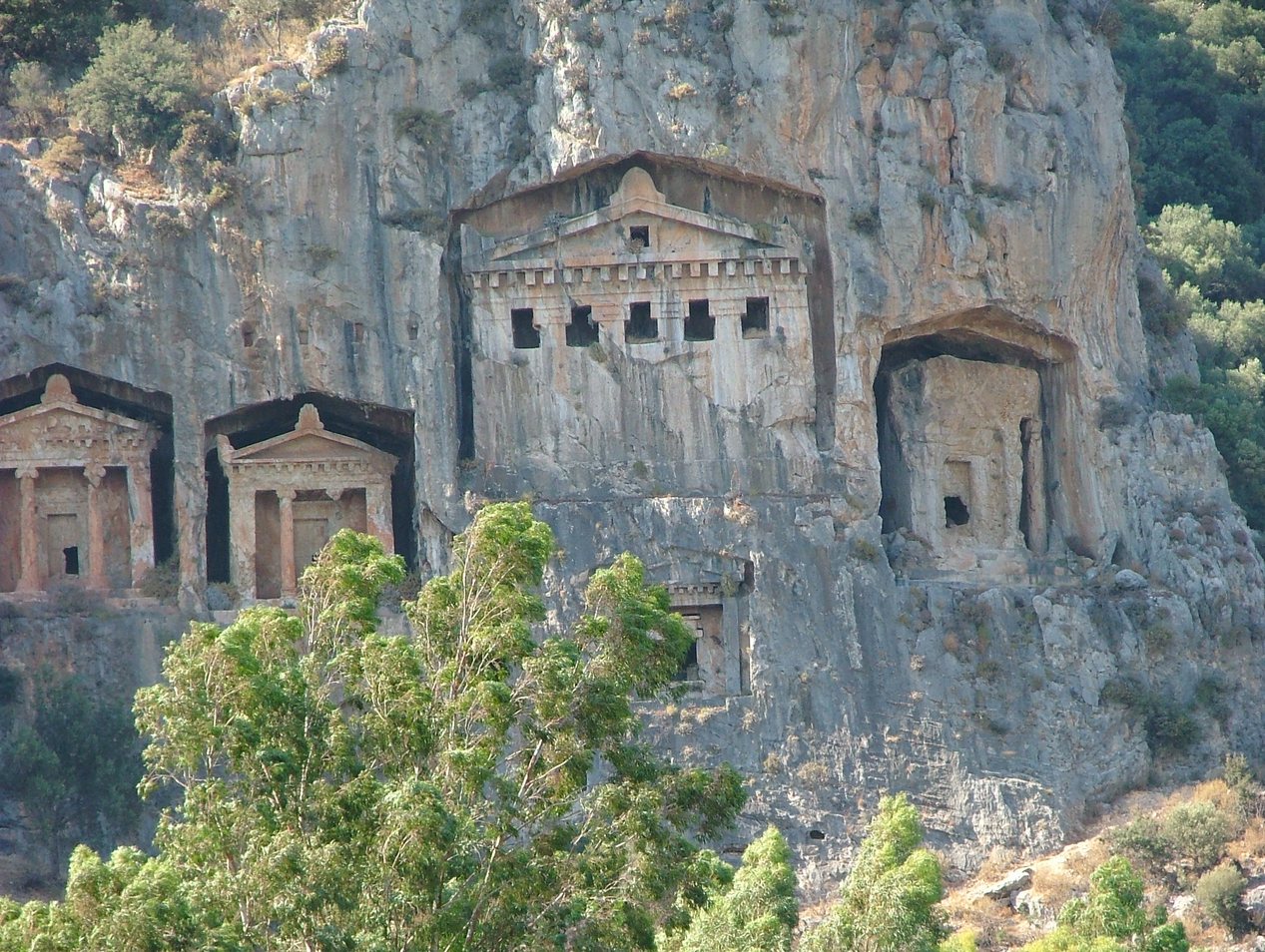 ���������