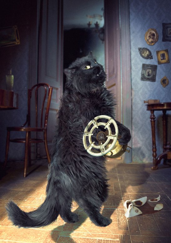 ���������