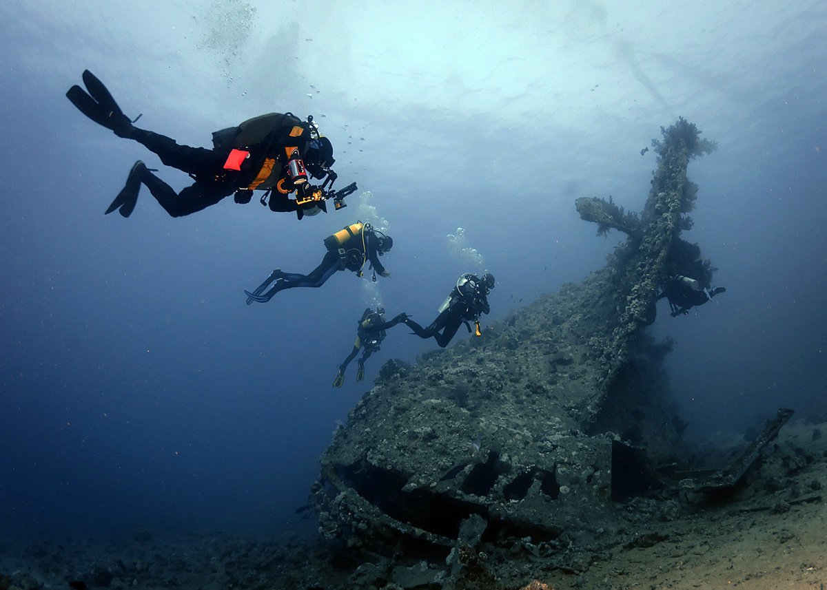 ���������