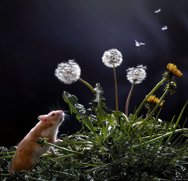 ���������