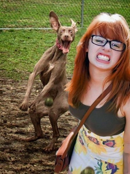 ���������