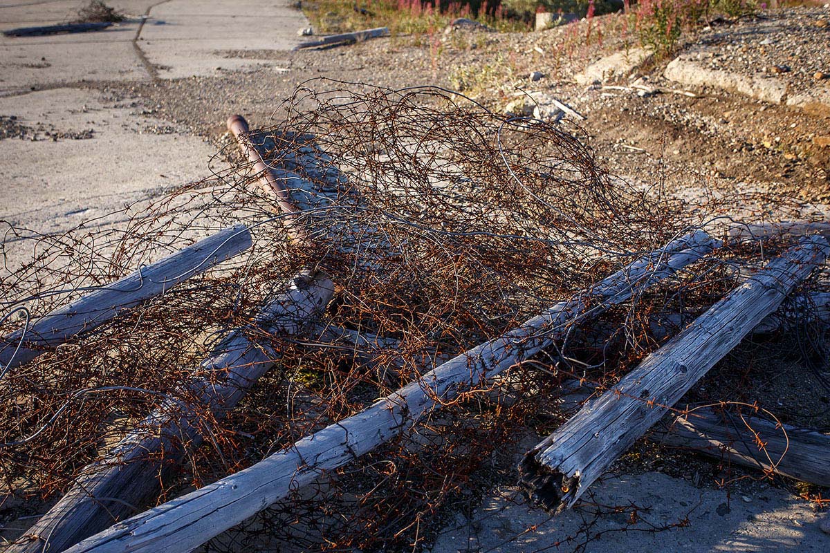 ���������