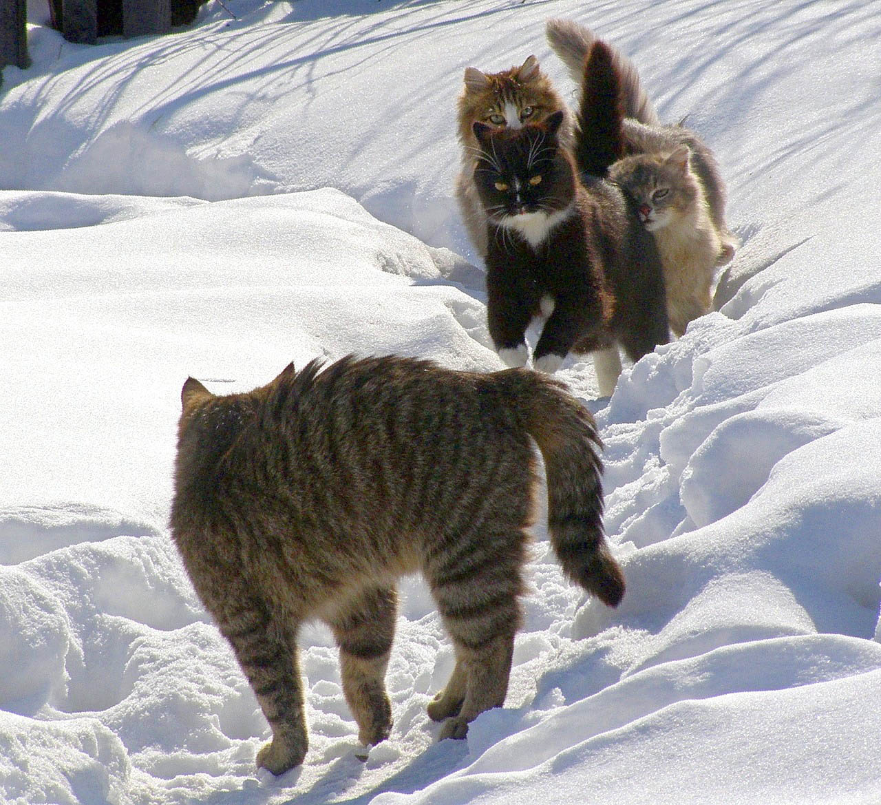 ���������