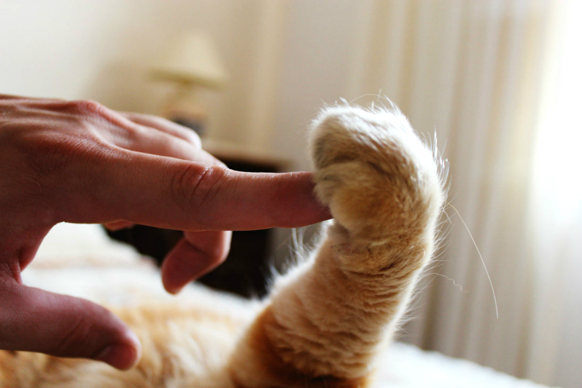 ���������