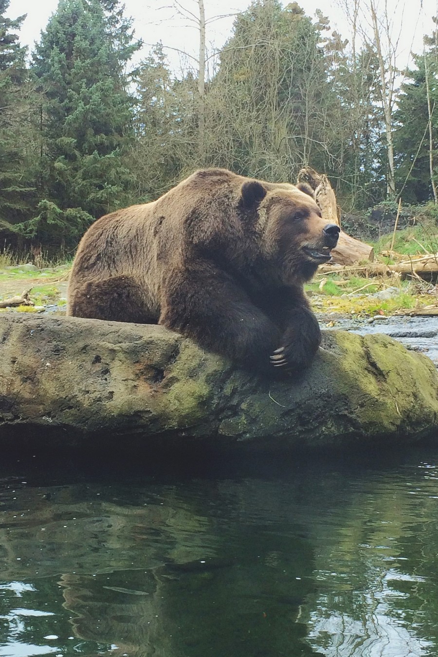 ���������