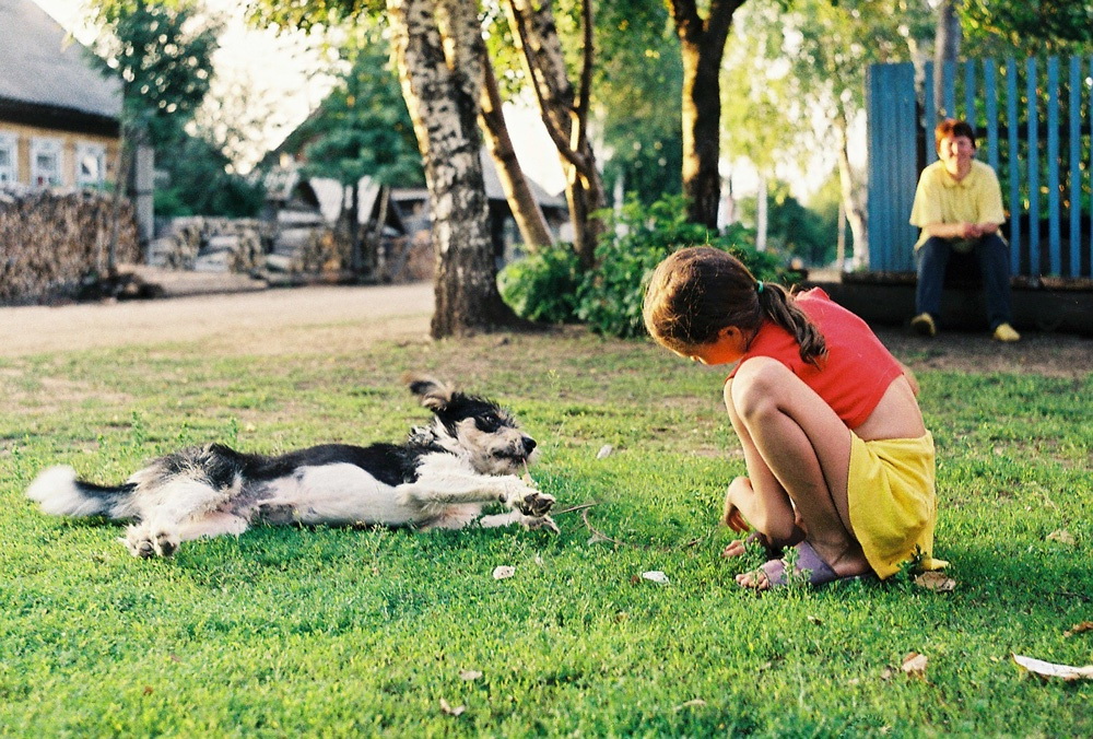 ���������