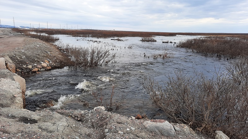 ���������