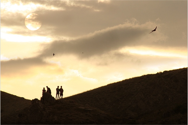 ���������