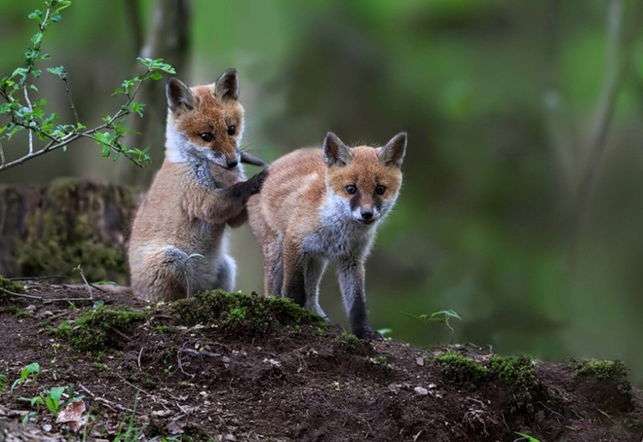 ���������