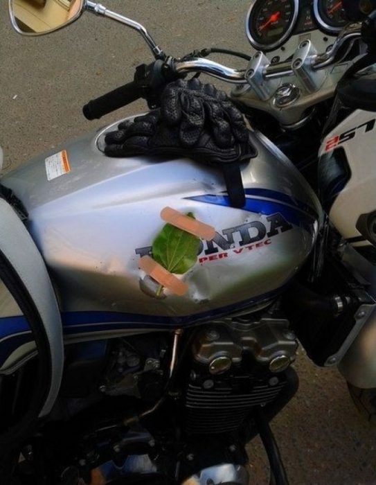 ���������