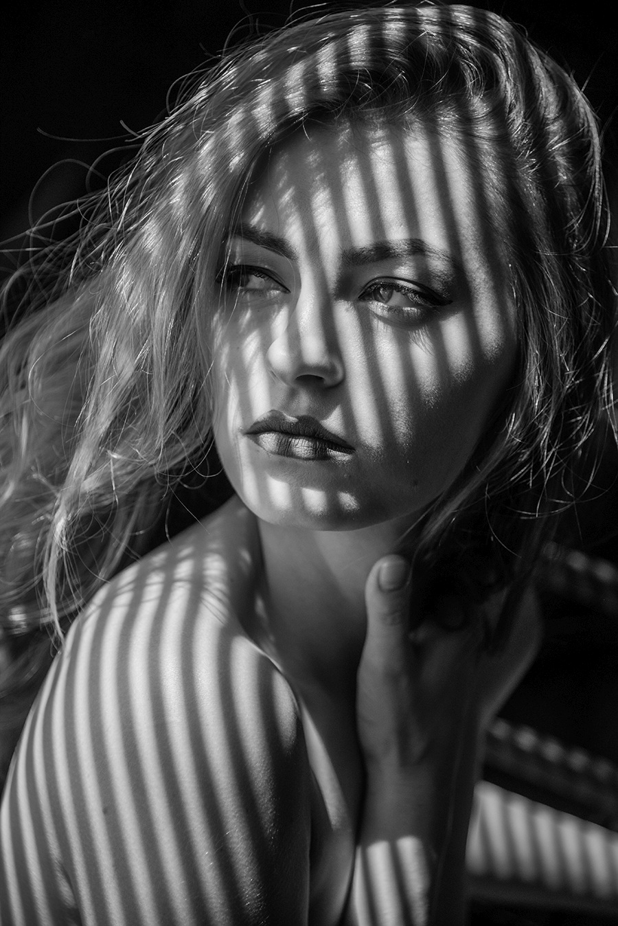 ���������