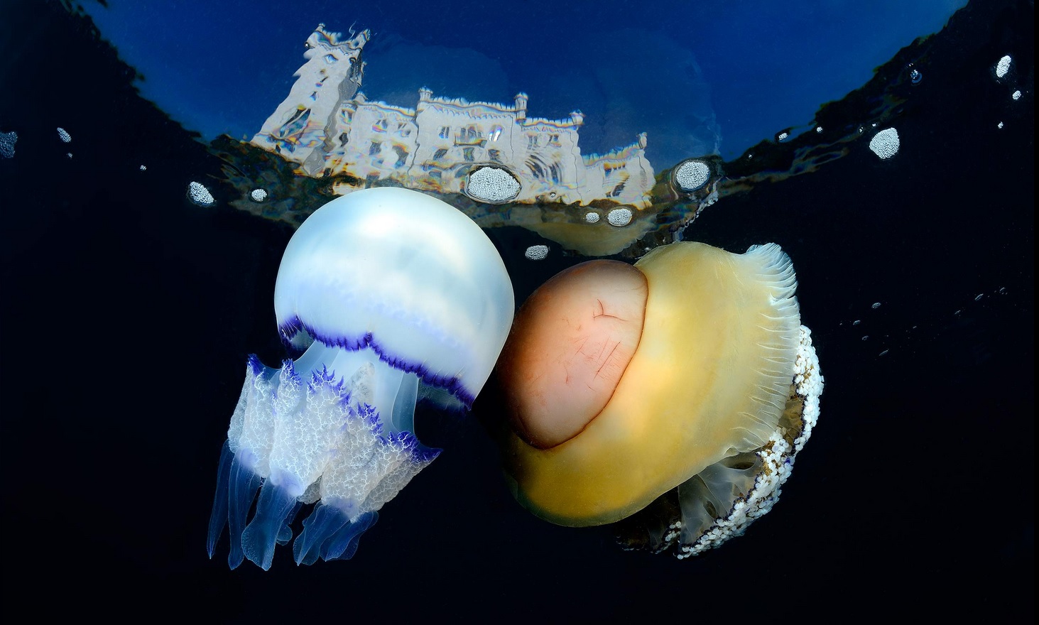 ���������