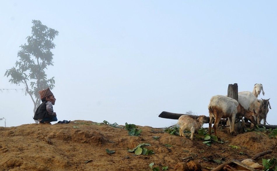 ���������