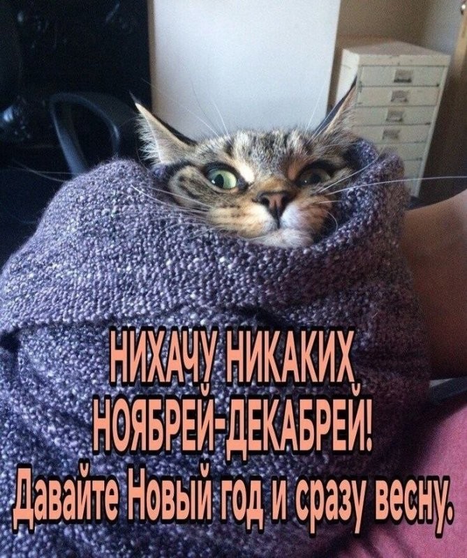 Увеличить Увеличить