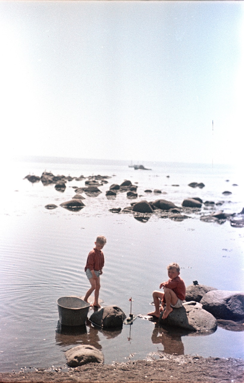 ���������