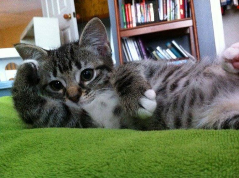 ���������