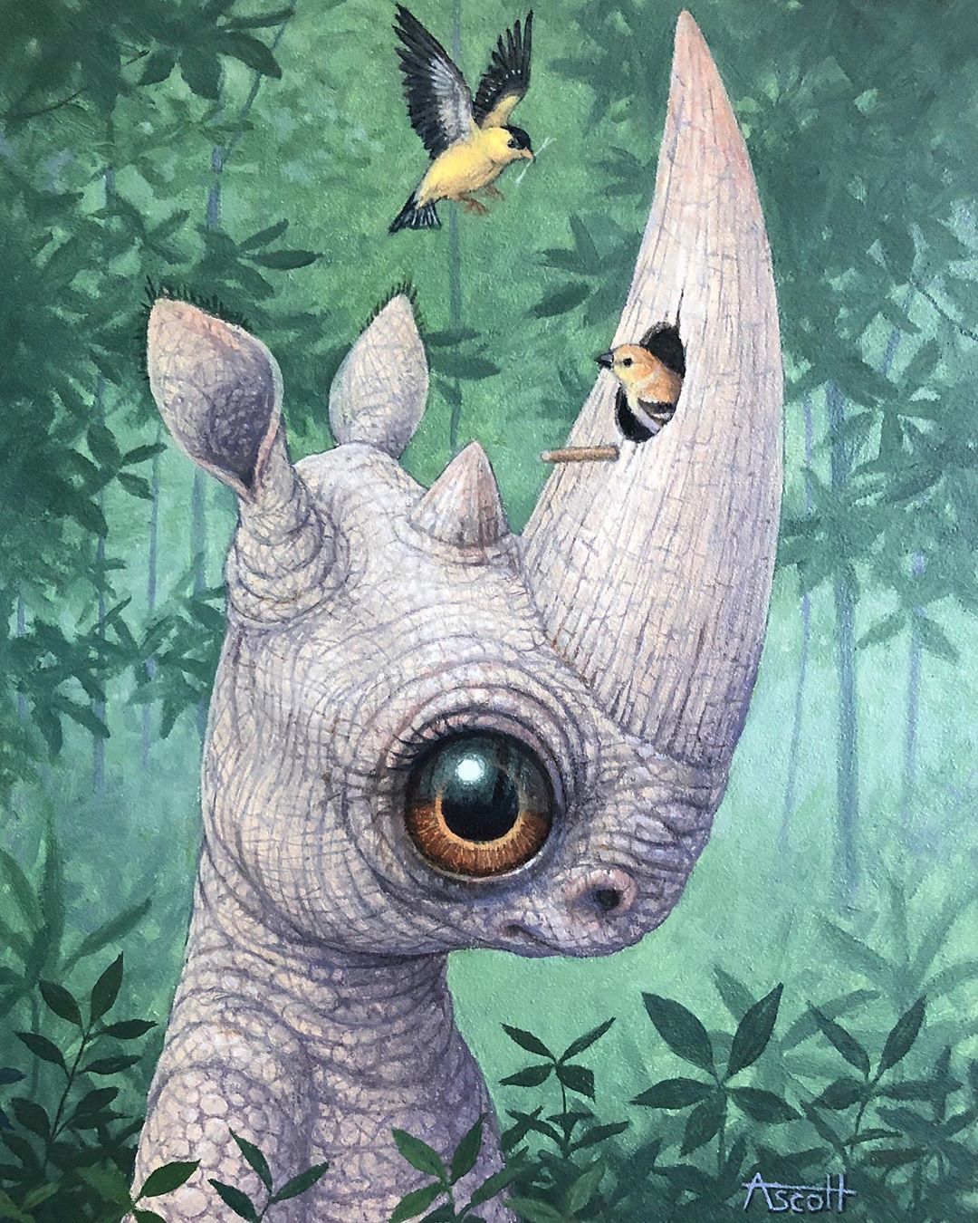 ���������