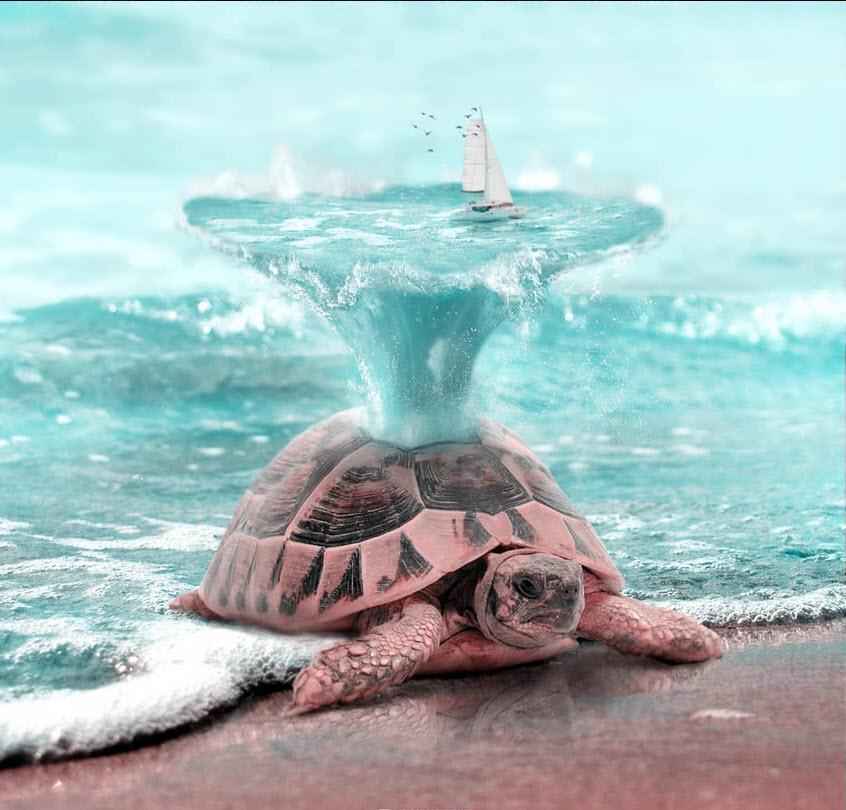 ���������