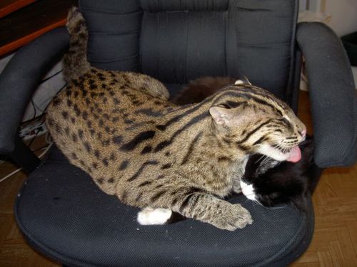 ���������