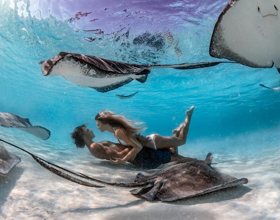 ���������