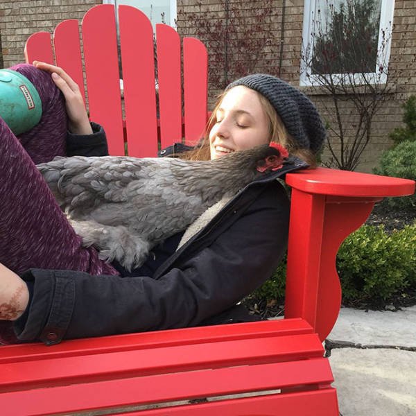 ���������