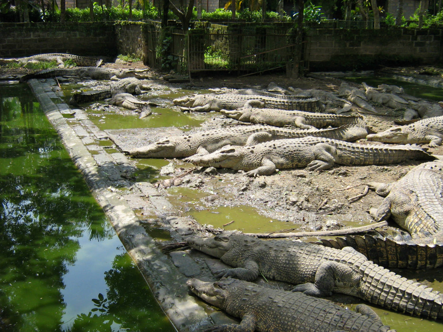 ���������