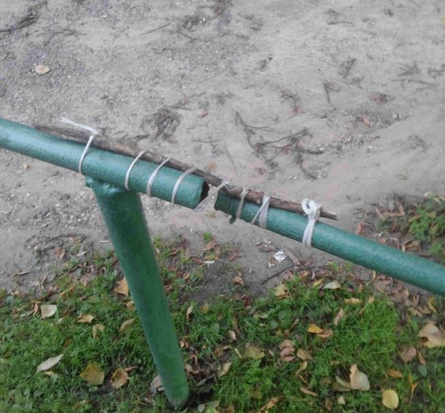 ���������