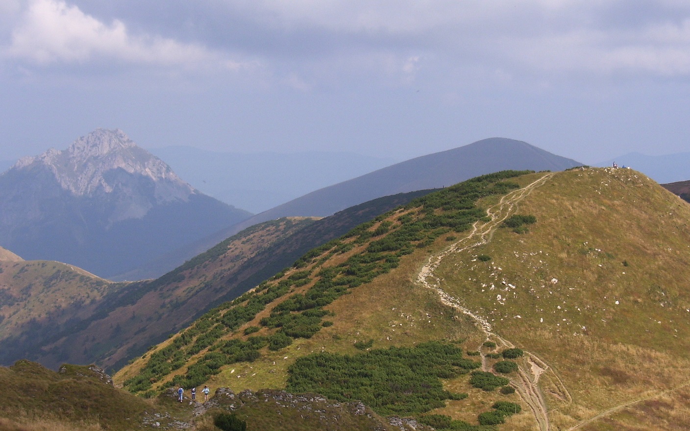 ���������