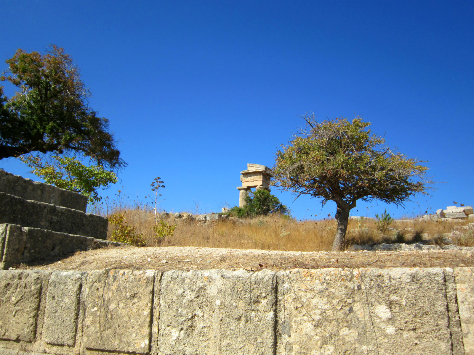 ���������