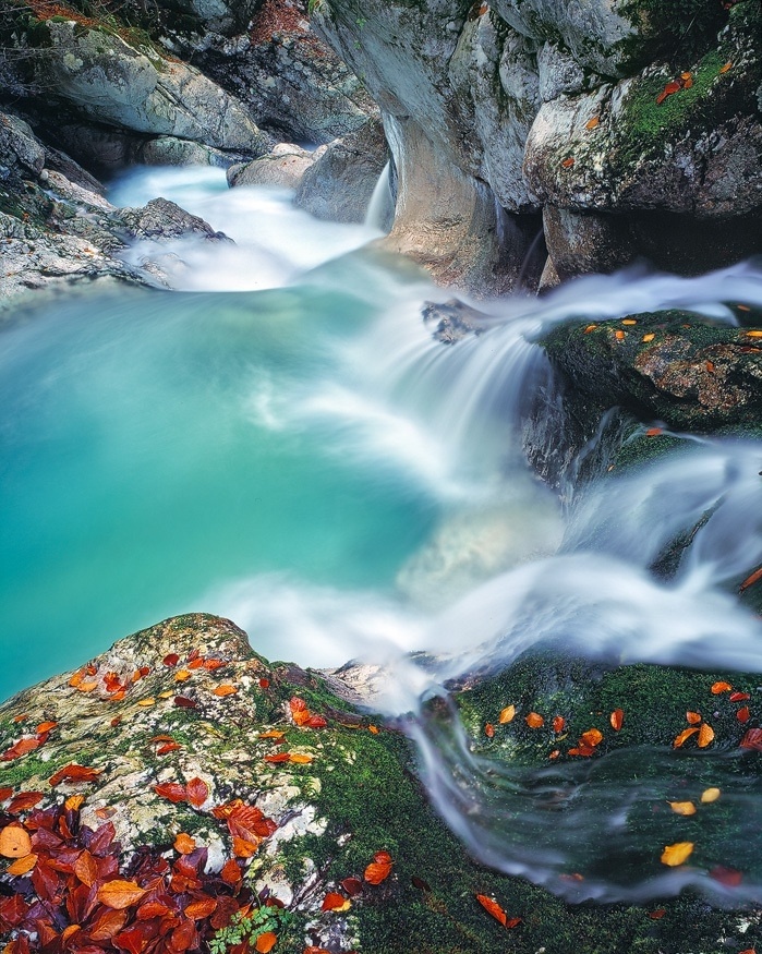 ���������