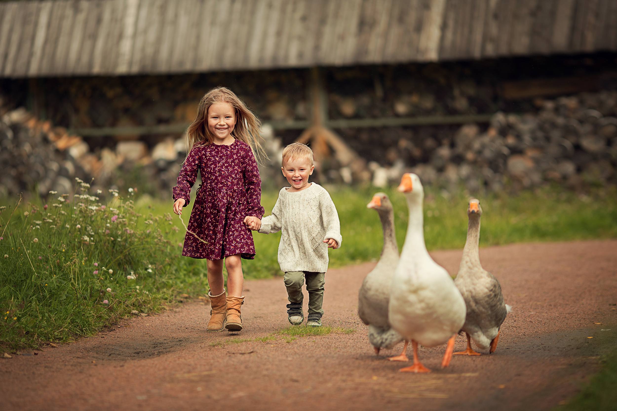 ���������