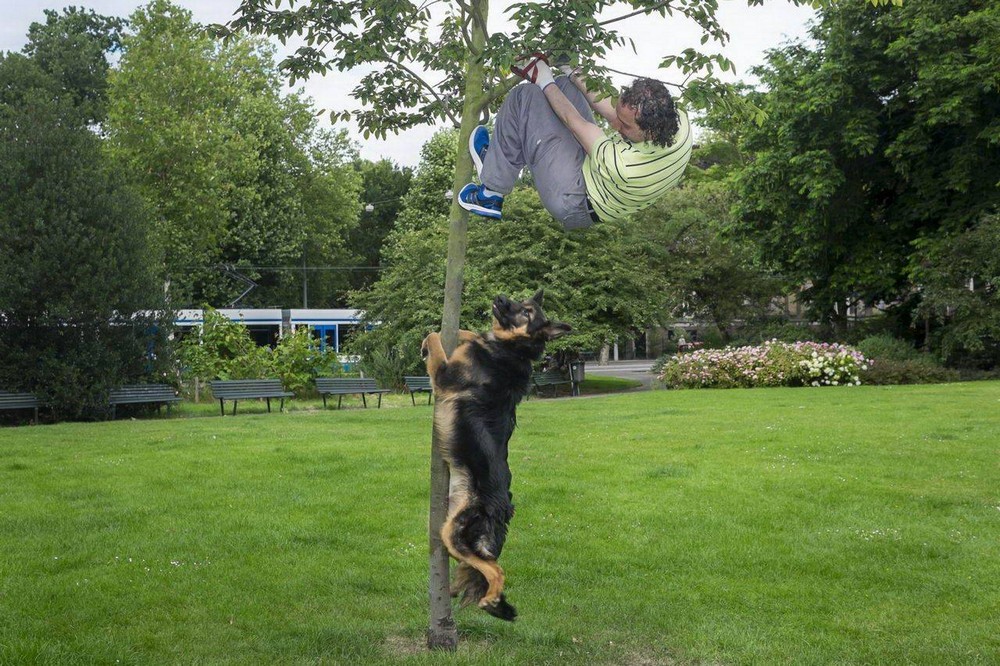 ���������