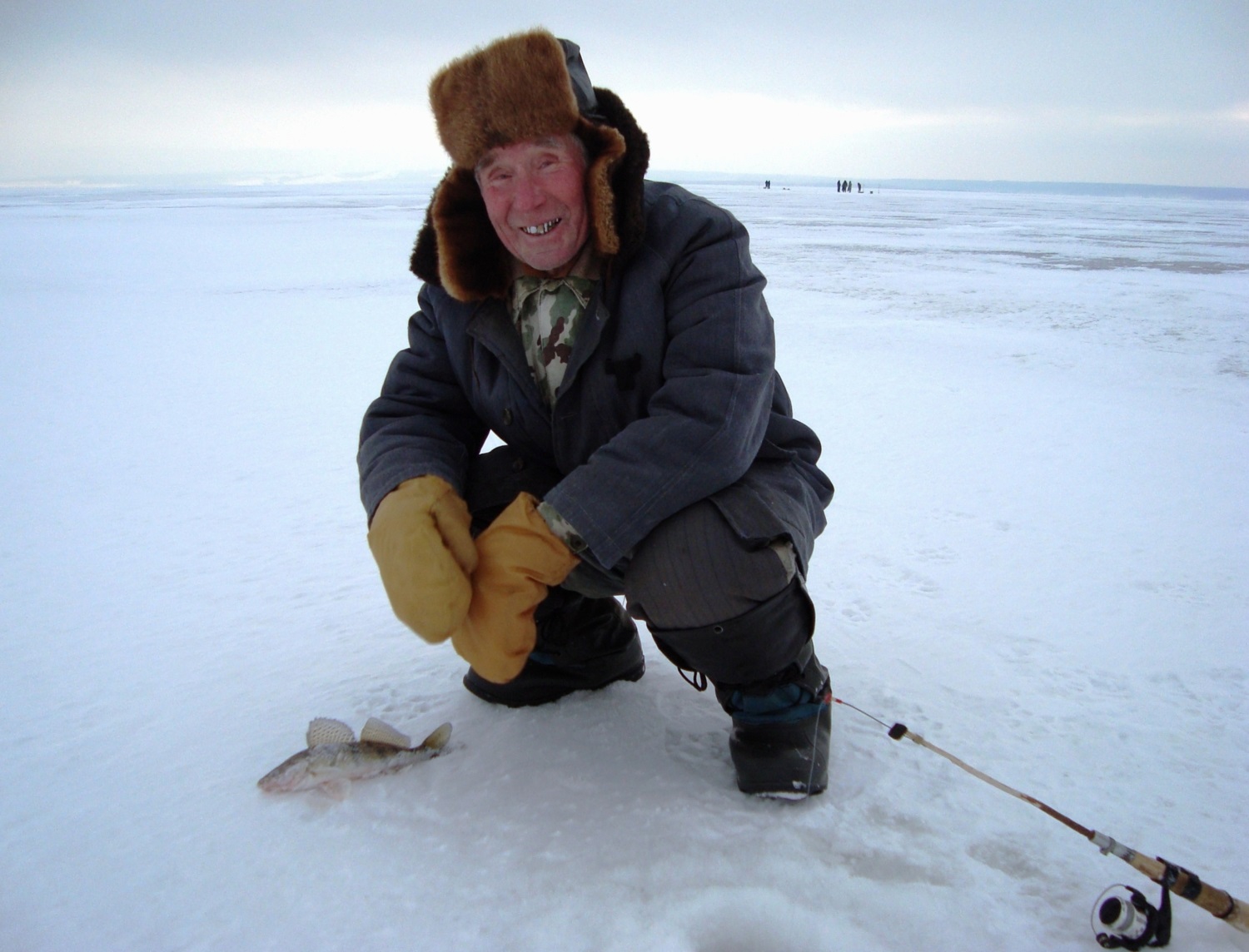 ���������