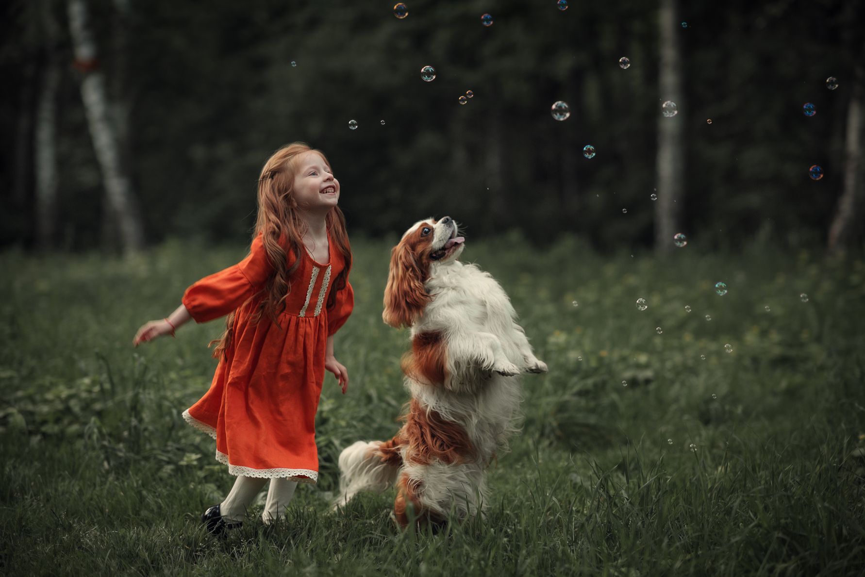 ���������