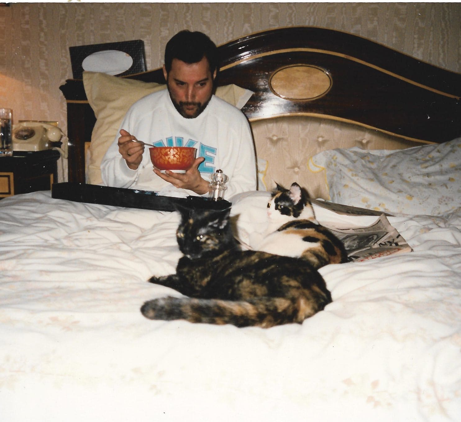 ���������