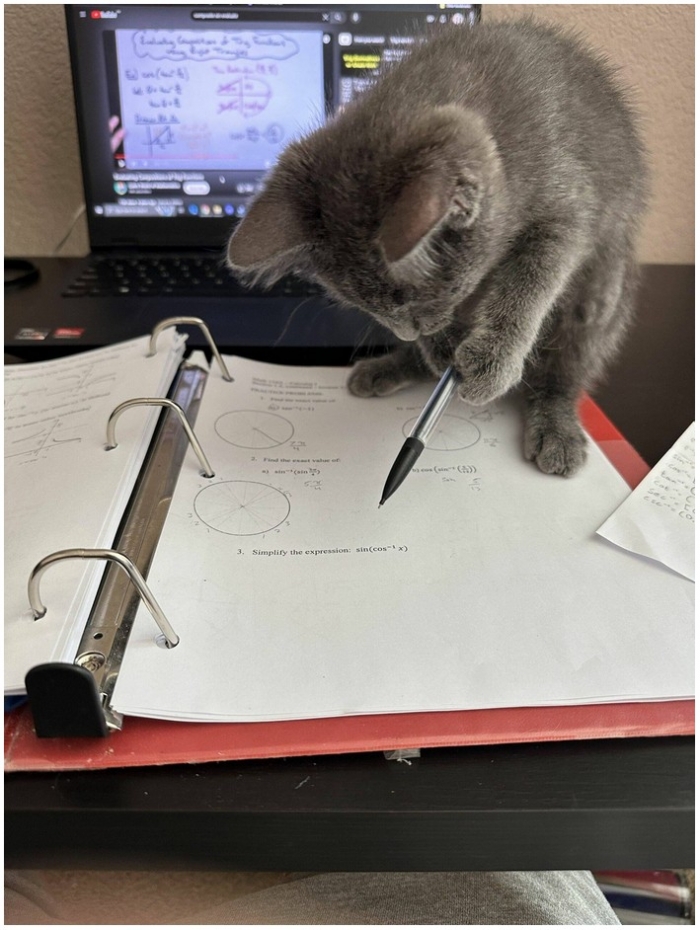 ���������